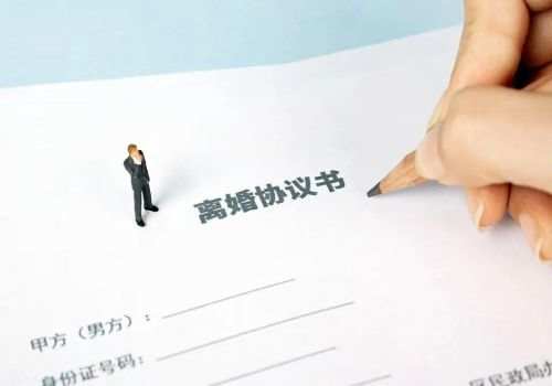 重庆外遇调查取证：母亲争夺儿子家产怎么处理